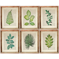 Set of 6 Prints Botanical Leaf Wall Hanging