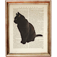 Vintage Illustration of a Black Cat from Dictionary