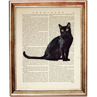 Elegant Black Cat Definition Art Print