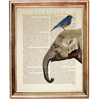 Elephant Portrait with Bird Dictionary Art Print