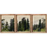 Set of three evergreen forest dictionary art prints featuring tall pine trees, mountain scenery and green woodland landscapes in wooden frames.