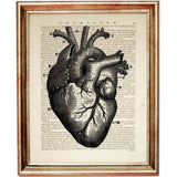 Detailed black-and-white illustration of the human heart with visible blood vessels and anatomical structures on an aged dictionary page.
