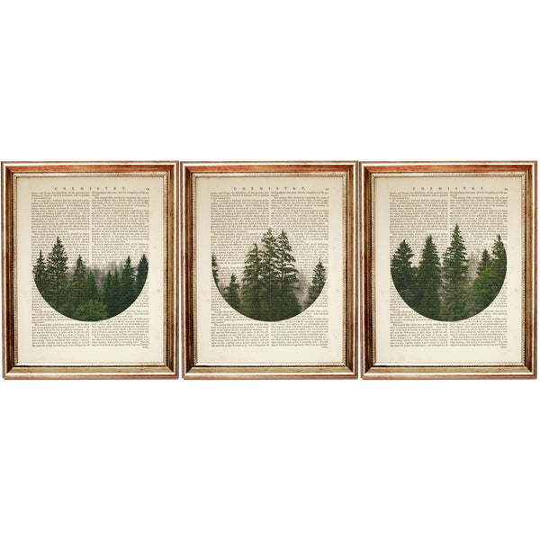 Set of 3 Forest Dictionary Art Prints, Bringing the Outdoors In