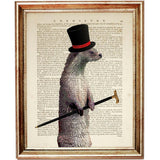 Otter with Umbrella Dictionary Art Prints - Set of 3 Wildlife Animal Portrait Wall Decor