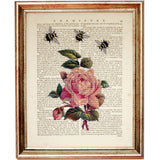 Botanical Pink Rose Wall Art Set of 3 Dictionary Prints with Flower and Bee, Rose Decor