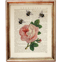 Botanical Pink Rose Wall Art Set of 3 Dictionary Prints with Flower and Bee, Rose Decor