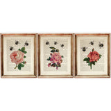 Botanical Pink Rose Wall Art Set of 3 Dictionary Prints with Flower and Bee, Rose Decor