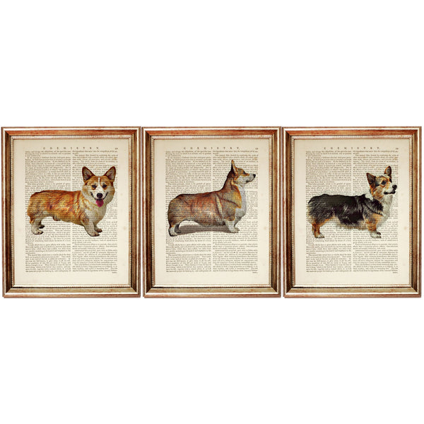 Pembroke Welsh Corgi Dictionary Art Prints Set of 3, Dog Wall Decor