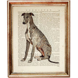 Italian Greyhound Wall Art Set, 3 Dog Dictionary Prints, Pet Wall Decor