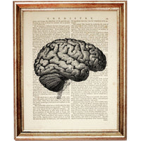 Anatomy Poster Set of 3 Heart, Brain, Skull - Dictionary Art Prints Wall Decor Anatomical Medical