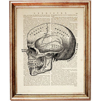 Anatomy Poster Set of 3 Heart, Brain, Skull - Dictionary Art Prints Wall Decor Anatomical Medical