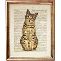 Bengal Cat Dictionary Art Prints - Set of 3 Nursery Wall Decor