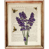 Sunflower Lavender Bumblebee Botanical Dictionary Art Prints Set - Wall Art Decor