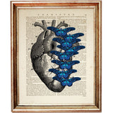 Anatomy Heart Dictionary Art Prints, Set of 3 Medical Wall Decor