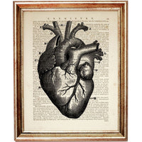 Anatomy Poster Heart, Skull, Brain - Dictionary Art Prints Set of 3  Wall Decor