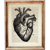 Anatomical Heart Art Print Set, Medical Wall Decor