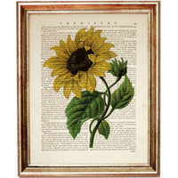 Set of 3 Botanical Wall Decor, Lavender, Sunflower, Bee Dictionary Art Print