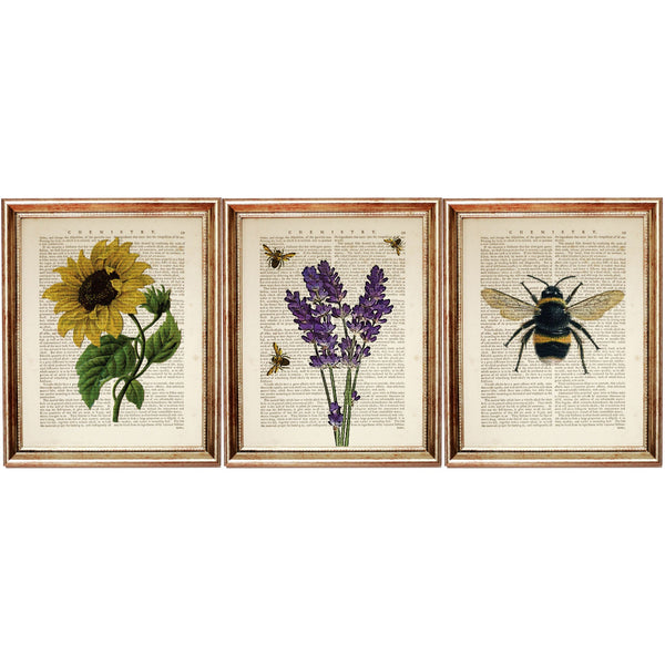 Set of 3 Botanical Wall Decor, Lavender, Sunflower, Bee Dictionary Art Print