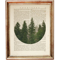 Set of 3 Forest Dictionary Art Prints, Bringing the Outdoors In