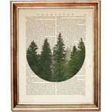 Set of 3 Forest Dictionary Art Prints, Bringing the Outdoors In