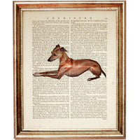 Italian Greyhound Wall Art Set, 3 Dog Dictionary Prints, Pet Wall Decor