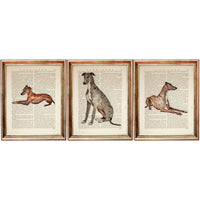 Italian Greyhound Wall Art Set, 3 Dog Dictionary Prints, Pet Wall Decor