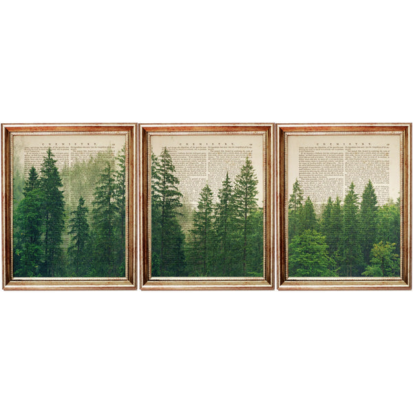 Forest Wall Art Set of 3, Pine Nature Dictionary Art Prints 8x10