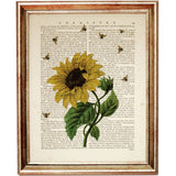 Botanical Dictionary Art Prints Set of 3 Floral Bees, Sunflower & Lavender Wall Decor