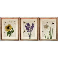 Botanical Dictionary Art Prints Set of 3 Floral Bees, Sunflower & Lavender Wall Decor