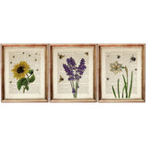 Botanical Dictionary Art Prints Set of 3 Floral Bees, Sunflower & Lavender Wall Decor