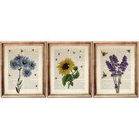 Botanical Dictionary Art Prints Set of3  Sunflower, Bees, Lavender, Blue Daisy - 8x10 Wall Decor