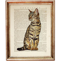 Bengal Cat Dictionary Art Prints - Set of 3 Nursery Wall Decor