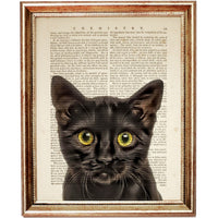 Set of 3 Black Cat Dictionary Art Prints, Cat Wall Decor for Poster Lovers