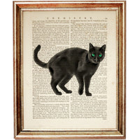 Set of 3 Black Cat Dictionary Art Prints, Cat Wall Decor for Poster Lovers