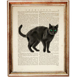 Set of 3 Black Cat Dictionary Art Prints, Cat Wall Decor for Poster Lovers