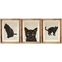 Set of 3 Black Cat Dictionary Art Prints, Cat Wall Decor for Poster Lovers