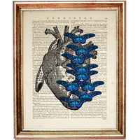 Anatomy Heart Dictionary Art Prints, Set of 3 Medical Wall Decor