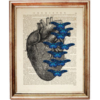 Anatomy Heart Dictionary Art Prints, Set of 3 Medical Wall Decor