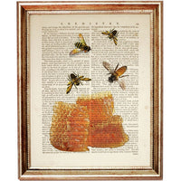 Set of 4 Botanical & Bee Dictionary Art Prints, Botanical Buzz Artwork