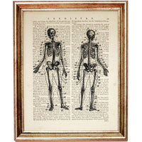 Set of 4 Skeleton Dictionary Art Prints, Gothic Elegance Wall Hanging