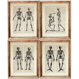 Set of 4 Skeleton Dictionary Art Prints, Gothic Elegance Wall Hanging