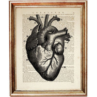 Set of 4 Medical Dictionary Art Prints, Intricate Anatomy Poster