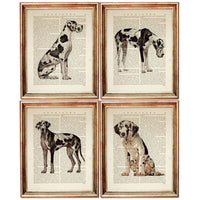 Great Dane Dog Dictionary Art Prints Set of 4 Dog Book Page Art Nursery Decor