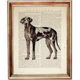 Great Dane Dog Dictionary Art Prints Set of 4 Dog Book Page Art Nursery Decor