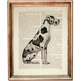 Great Dane Dog Dictionary Art Prints Set of 4 Dog Book Page Art Nursery Decor