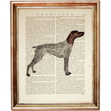 Set of 4 Dog Dictionary Art Prints, Graceful GSP Companions Poster