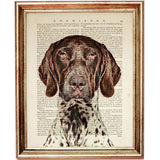 German Shorthaired Pointer Dictionary Art Prints Set, GSP Wall Art Set of 6