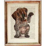 Set of 4 Dog Dictionary Art Prints, Graceful GSP Companions Poster