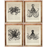 Set of 4 Black & White Octopus Dictionary Art Prints, Oceanic Elegance