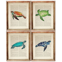 Set of 4 Sea Turtle Dictionary Art Prints, Oceanic Splendor Poster